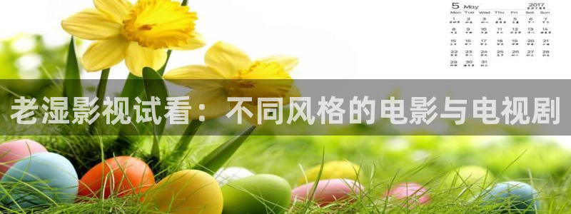 6080新视觉影院投影速度