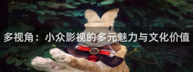 新视觉影视yy6080