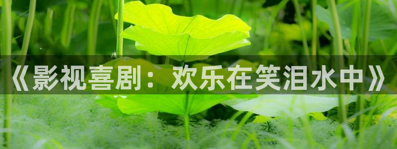 6080新视觉影院在线播放