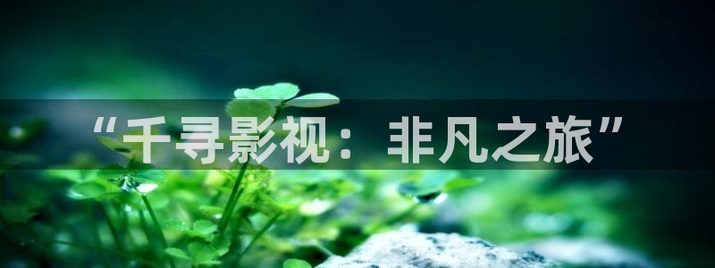 新视觉6080新版视频