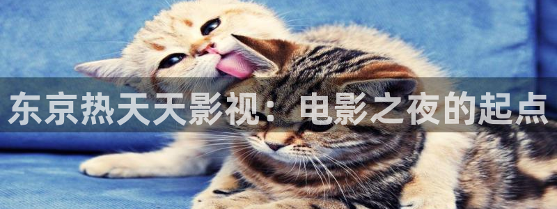 6080新视觉理论