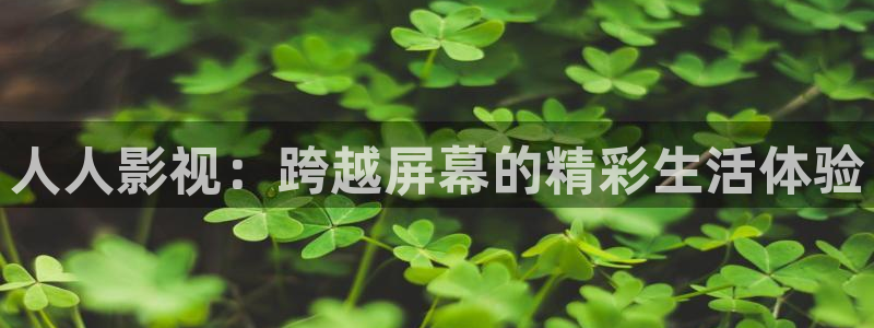 yy6080新视觉影院伦理在线观看