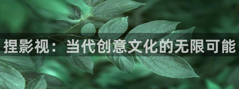 6080手机版新视觉