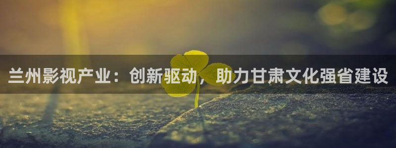 新视觉官网