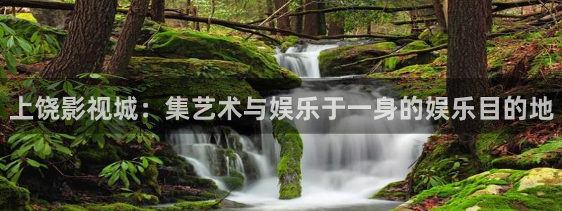 6080网新视觉