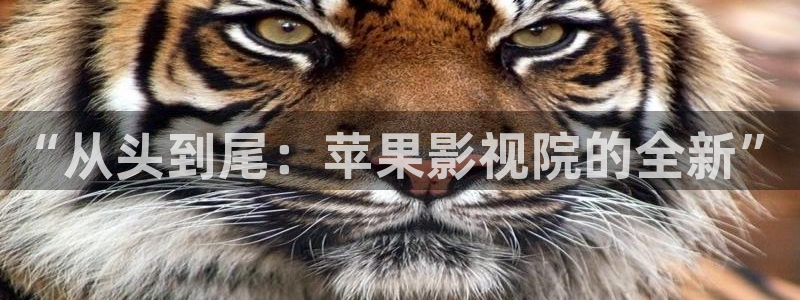 6080 新视觉影院