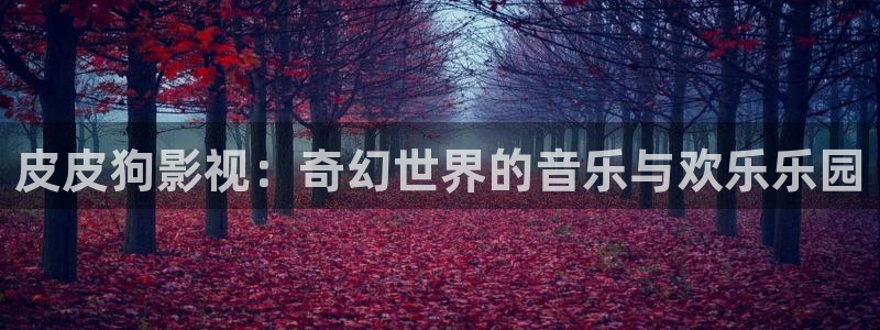 新视觉y6080
