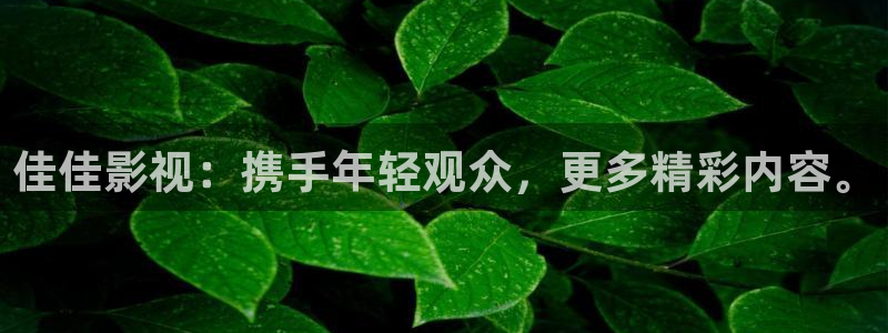 6080新视觉新理论