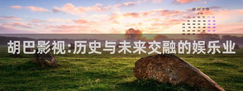 新视觉2020免费观看电视剧电影无广告